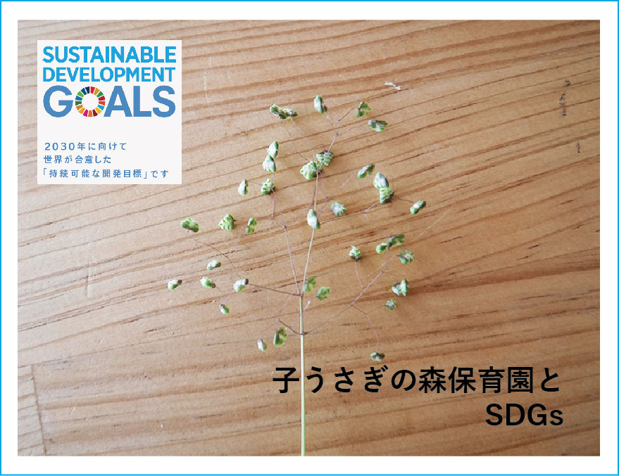 sdgsp
